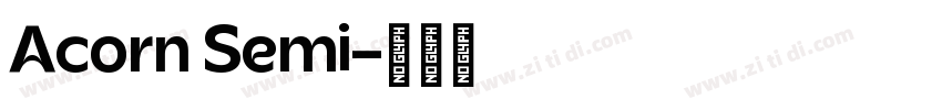Acorn Semi字体转换